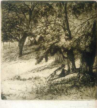 F.S.Haden, Sub Tegmine, 1859, etching, The Hunterian GLAHA 1869