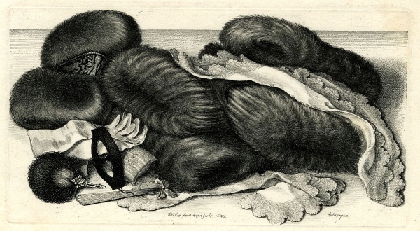 Wenceslaus Hollar, 'Articles of dress laid on a table including muffs...', etching, 1647, British Museum 1868,0822.545