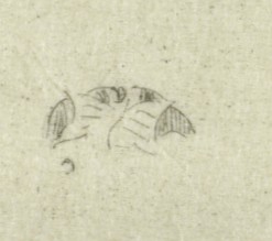 Butterfly, 1877