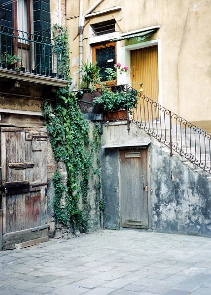 Corte Delfina, Castello, 2003