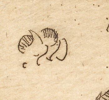Butterfly, 1888