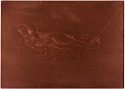 Copper plate: 'Venus' (Nettie Pettigrew) [363]