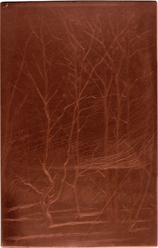 Copper plate: The Dam Wood [133]