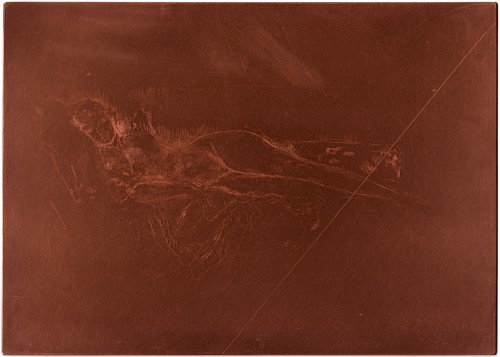 Copper plate: 'Venus' (Nettie Pettigrew) [363]